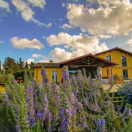 Country House Erba Regina Frascati Exterior photo