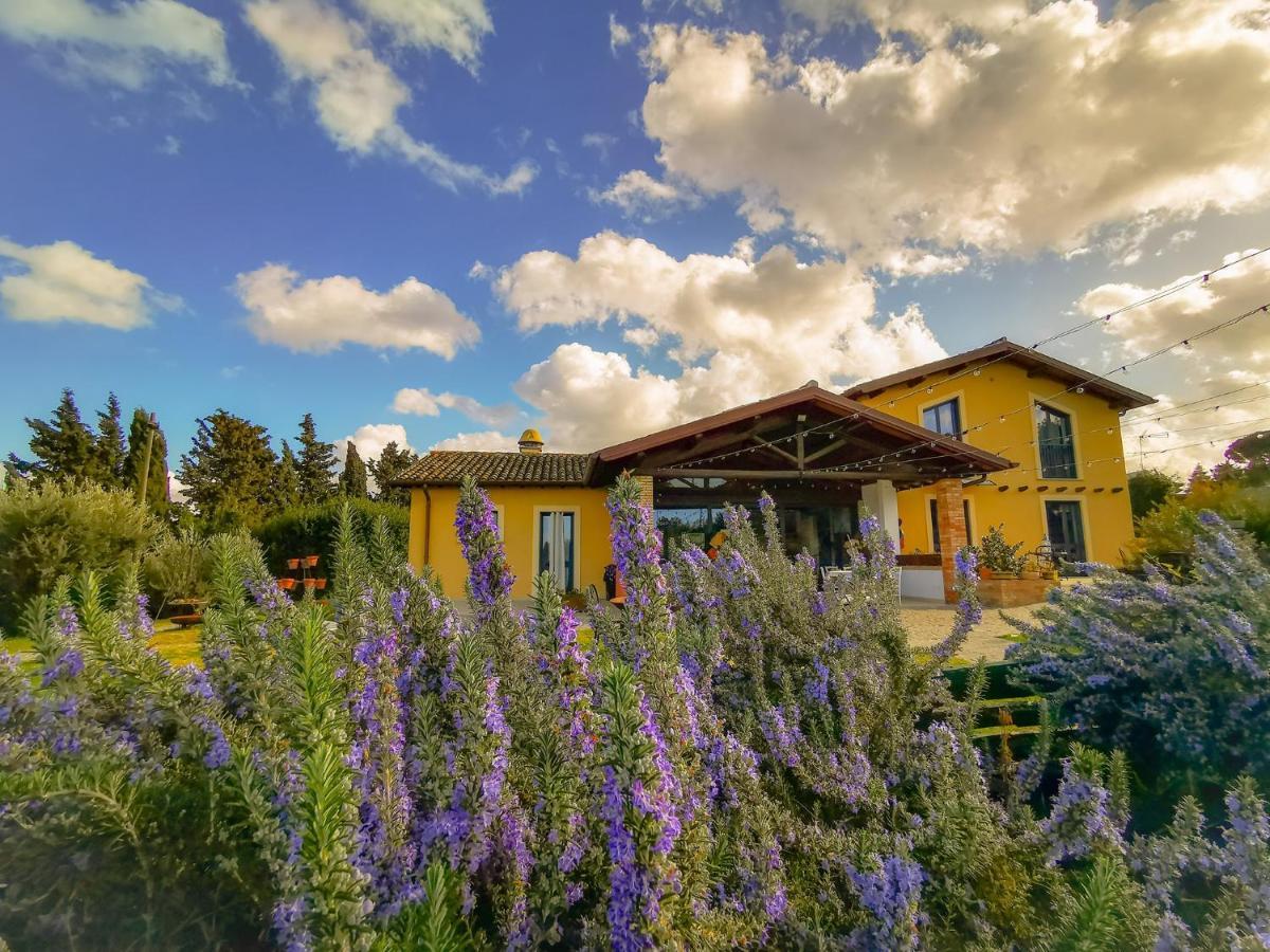 Country House Erba Regina Frascati Exterior photo