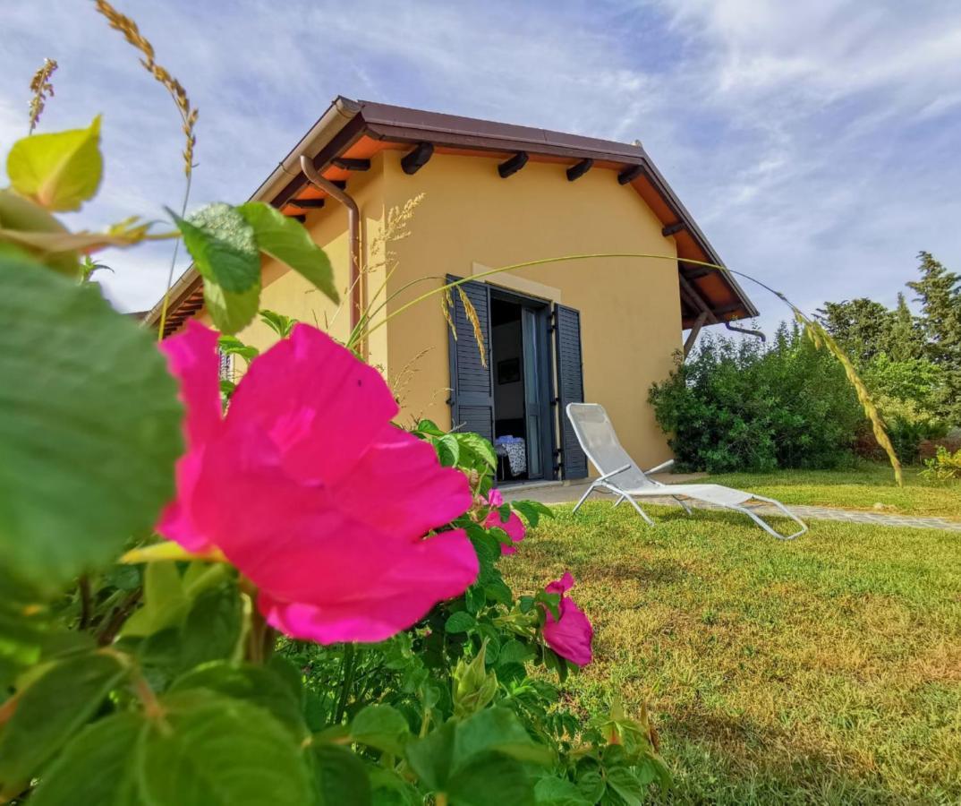 Country House Erba Regina Frascati Exterior photo