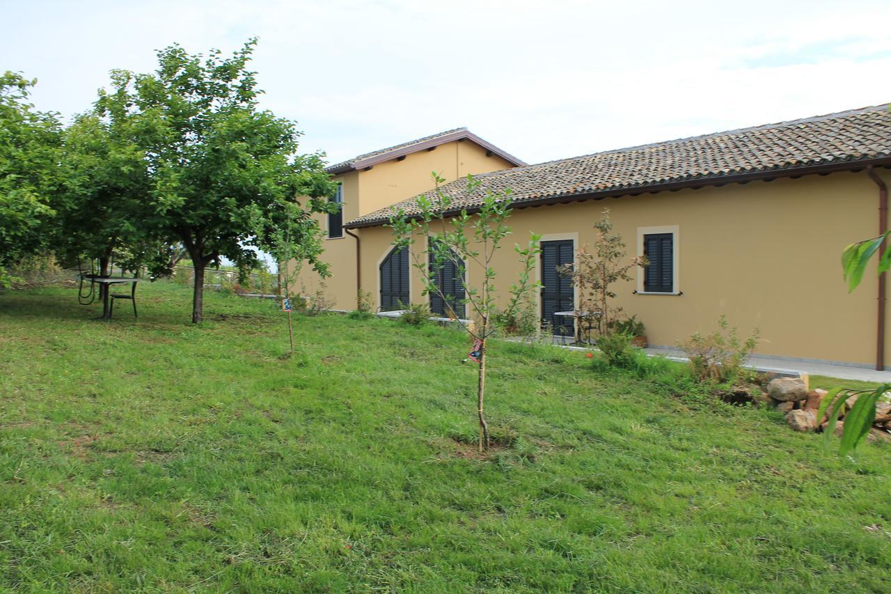 Country House Erba Regina Frascati Exterior photo
